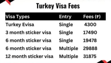 renew Turkey visa