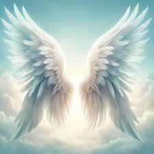 angel wings